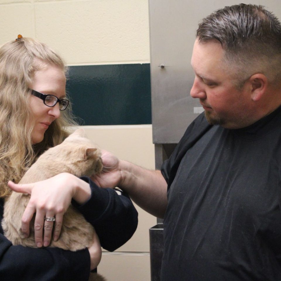 A man petting a cat that is in a womans arms 960x960