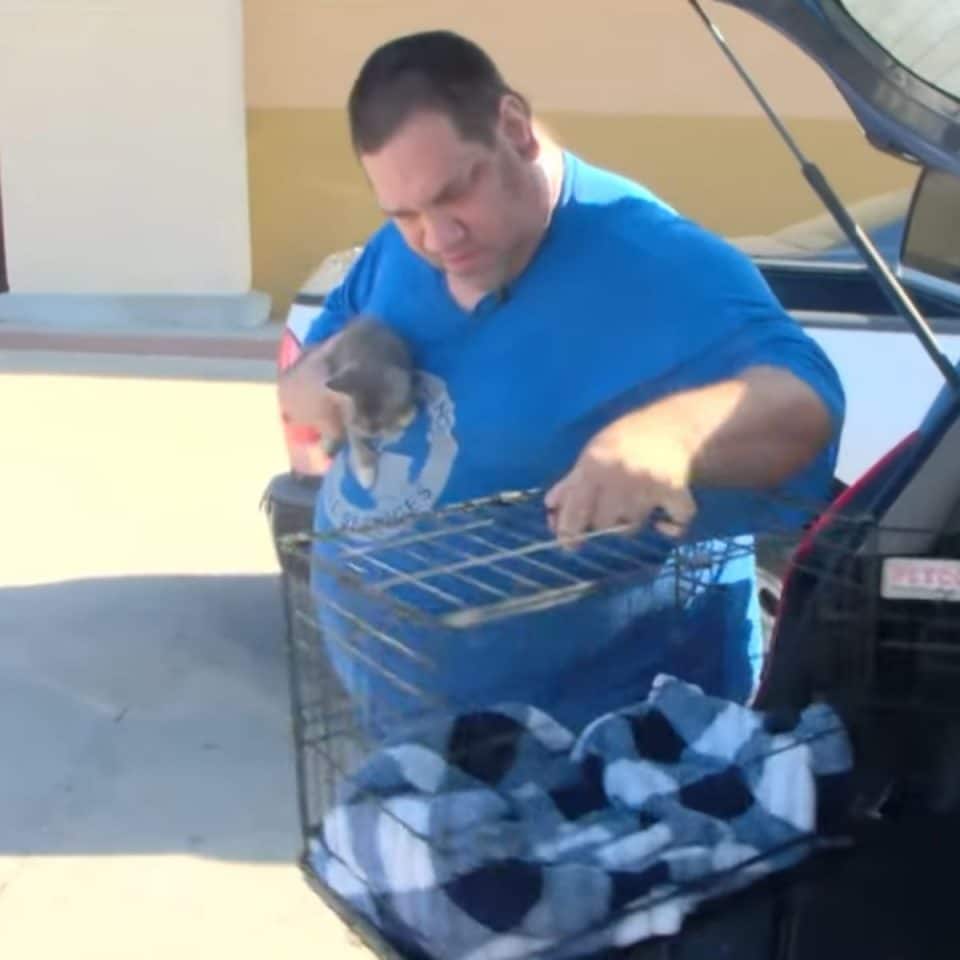 A man puts a kitten in a cage 960x960