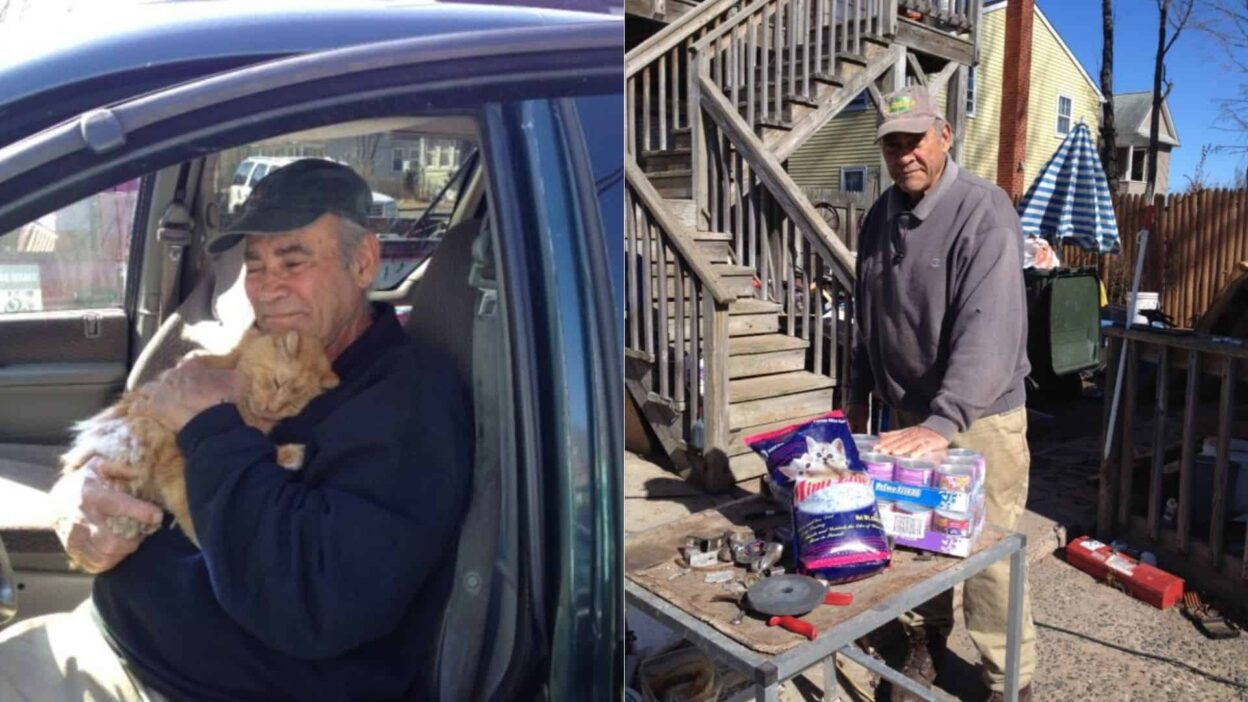 Retired Veteran Turns Scrap Metal into Lifesaving Meals for Stray Cats