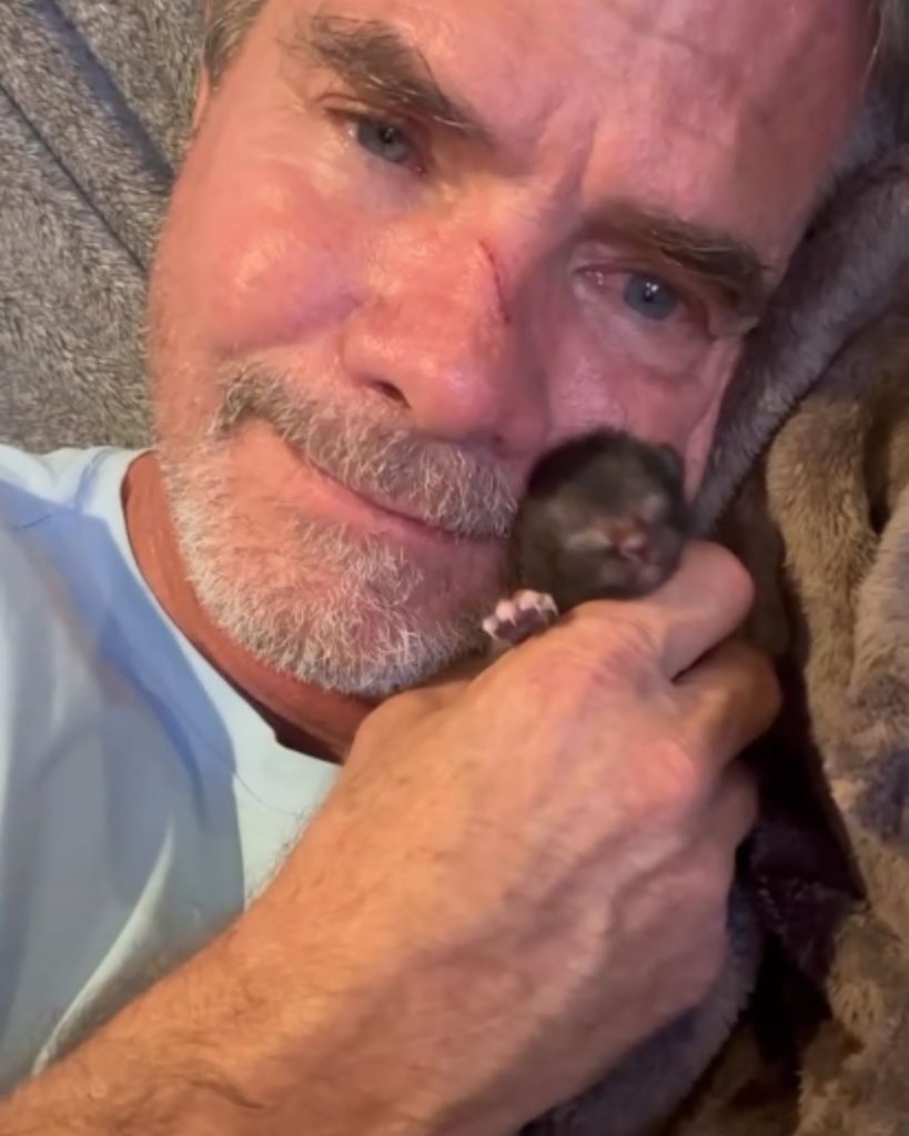 a man hugs a little kitten 819x1024