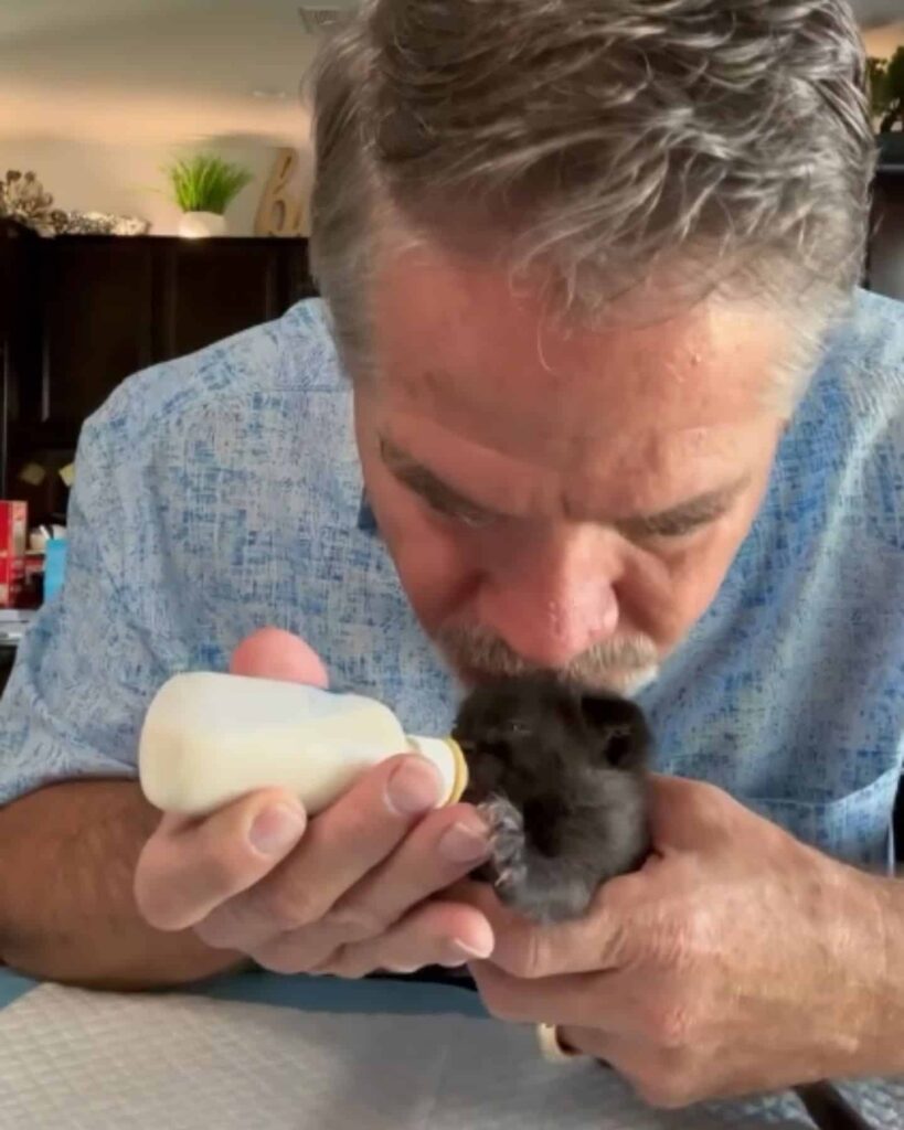 a man kisses a kitten while feeding it from a bottle