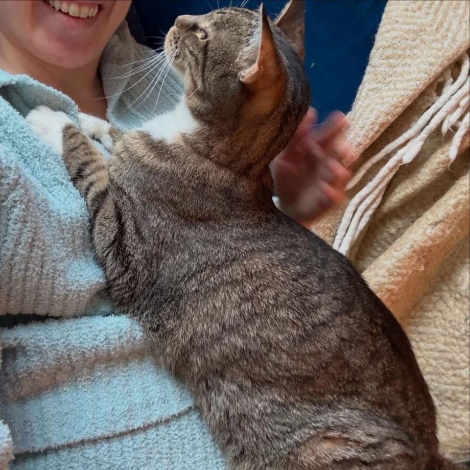 cat on the chest of a smiling girl 960x960