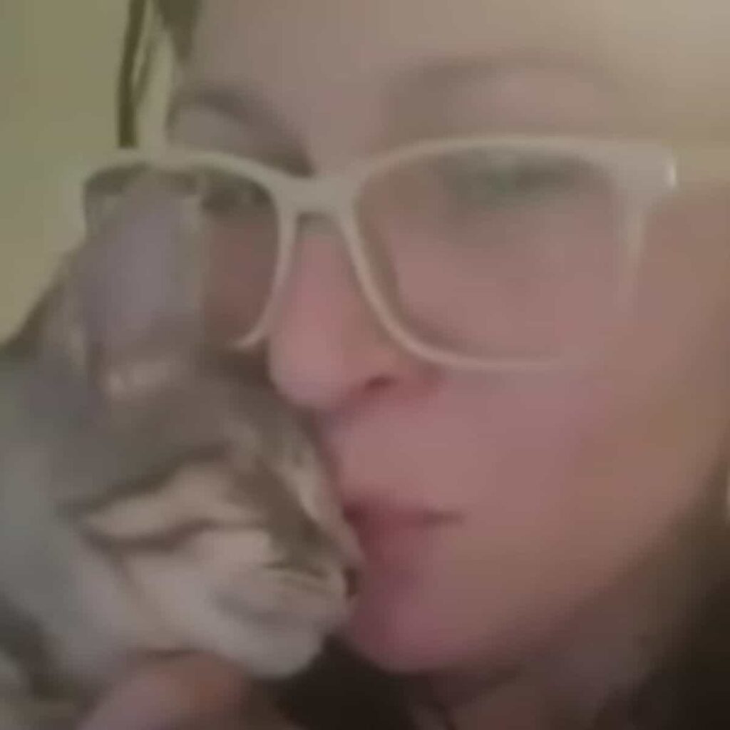 close up photo of woman and stray cat