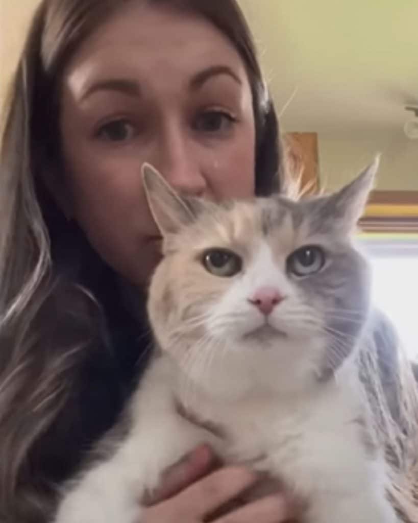 grumpy cat with her owner 819x1024