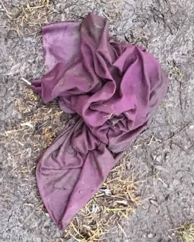 purple pillow case on the road 819x1024