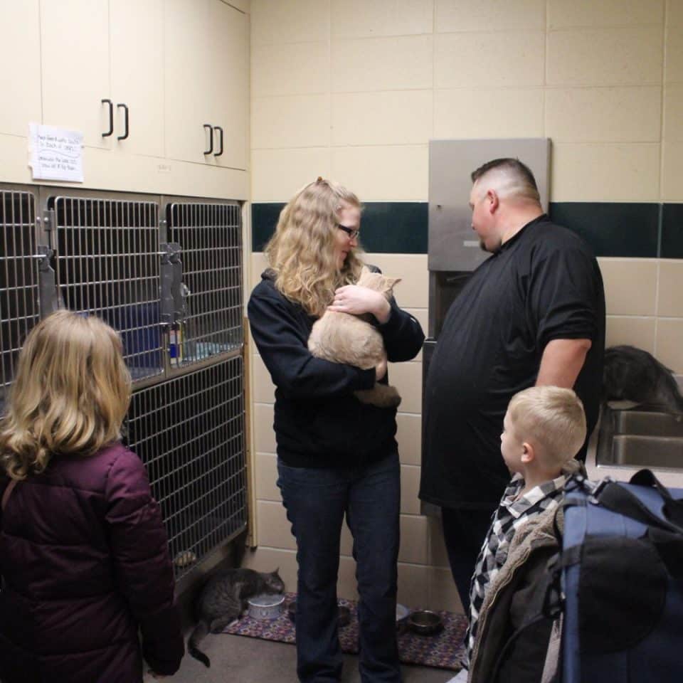 woman holding a cat in her arms family watching 960x960