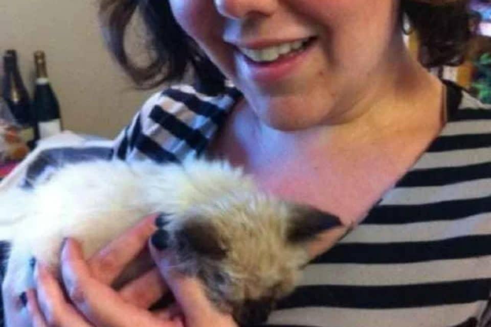 Lost Kitten
